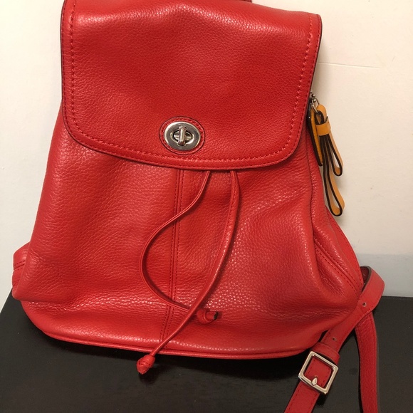 Backpack - Picture 1 of 2